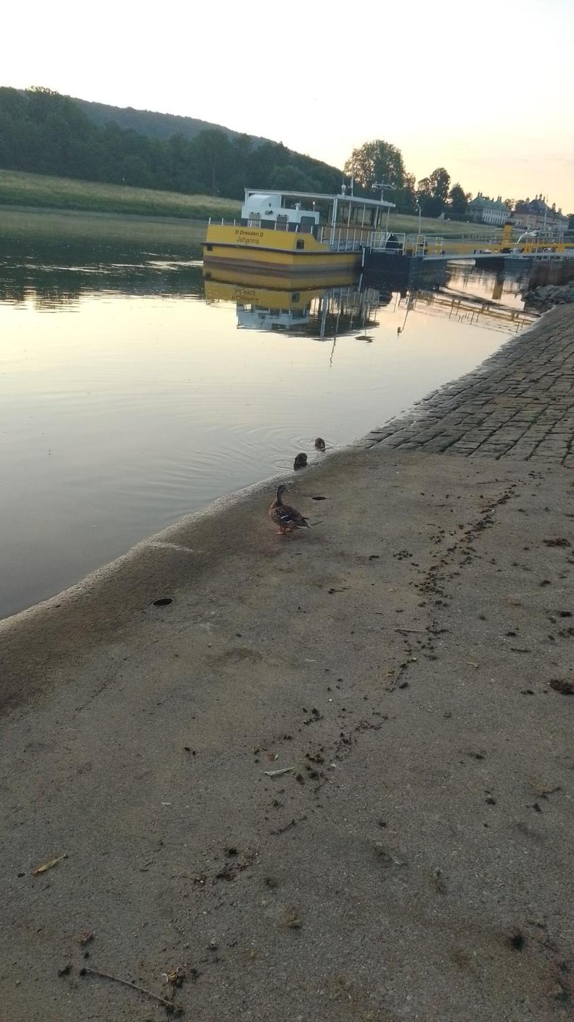Dresden-Entspannung-Natur-Trifft-2-Staedte-Am-Fluss Zewnętrze zdjęcie